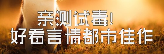 亲测试毒！好看言情都市佳作